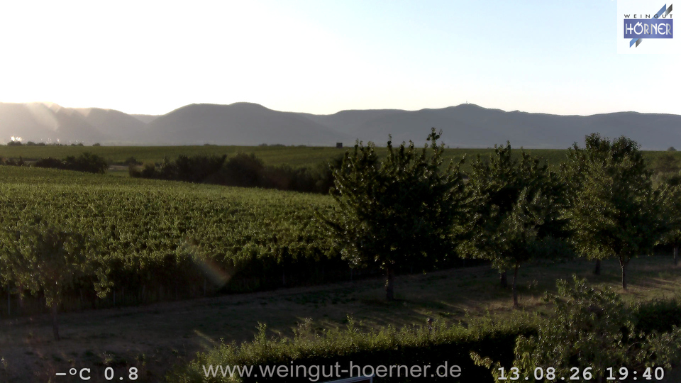 Webcam Weinberge Hochstadt