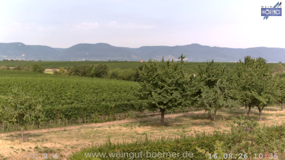 Webcam Weinberge Hochstadt