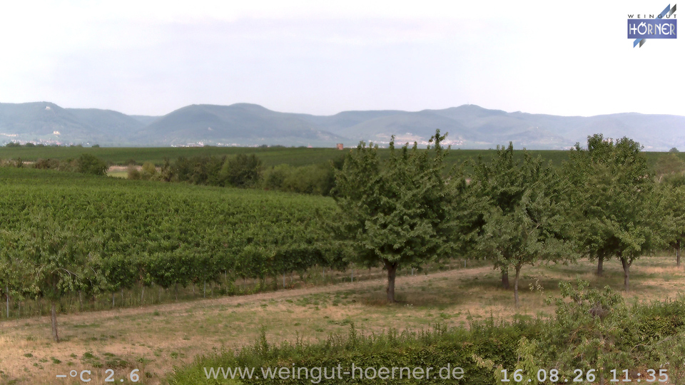 Webcam Weinberge Hochstadt
