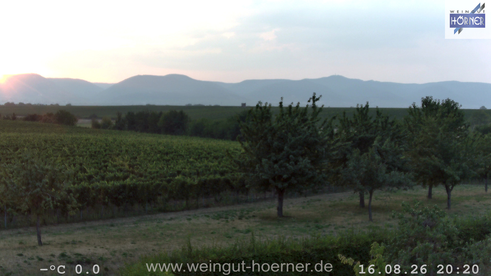 Webcam Weinberge Hochstadt