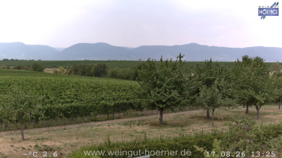 Webcam Weinberge Hochstadt