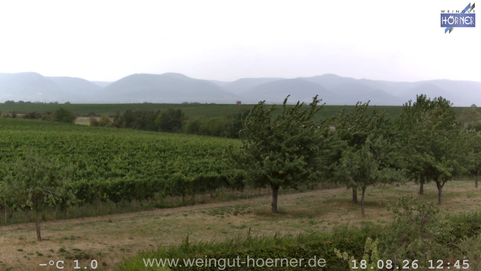 Webcam Weinberge Hochstadt