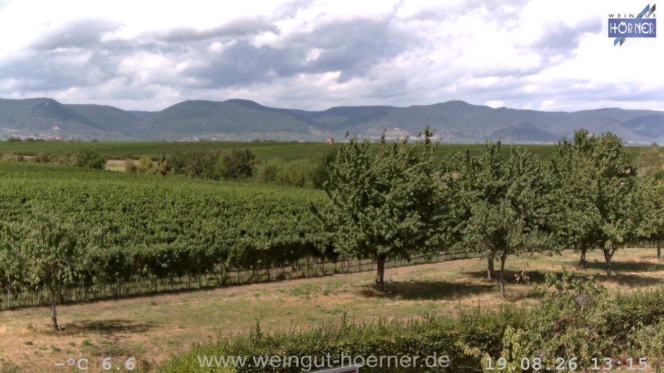 Webcam Weinberge Hochstadt