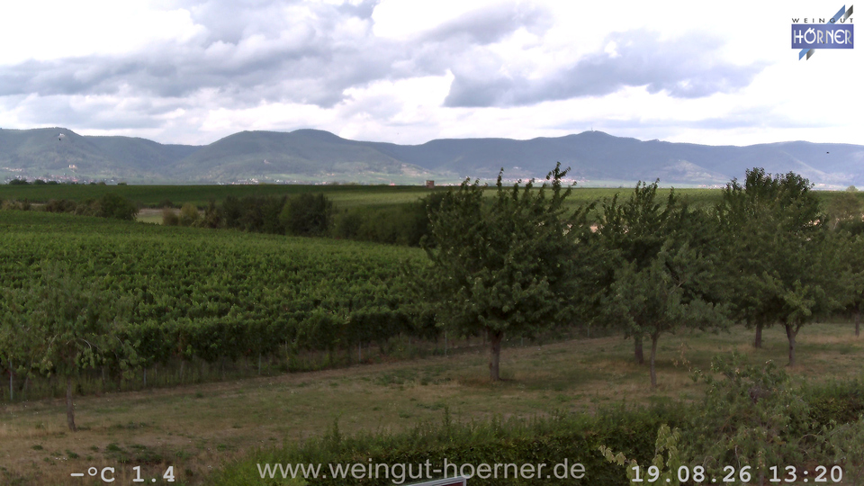 Webcam Weinberge Hochstadt