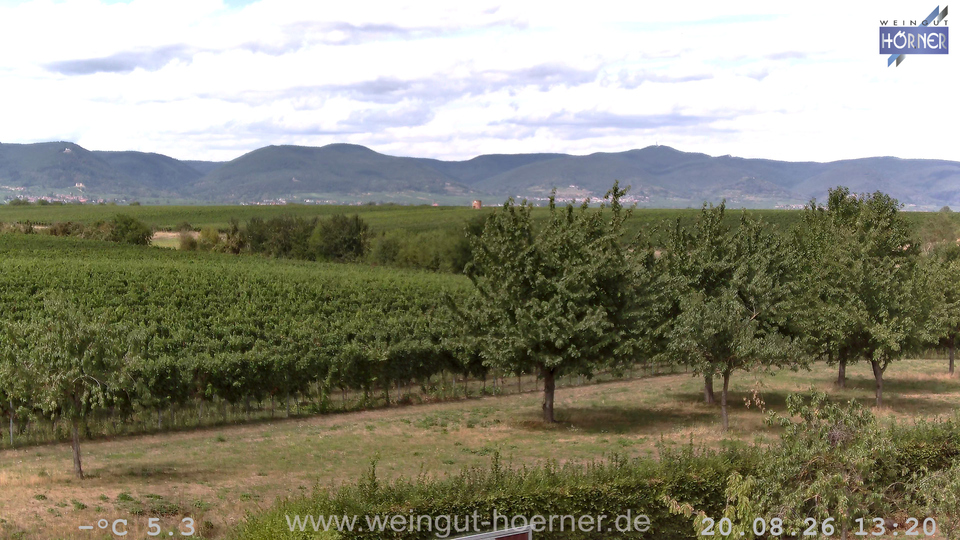 Webcam Weinberge Hochstadt