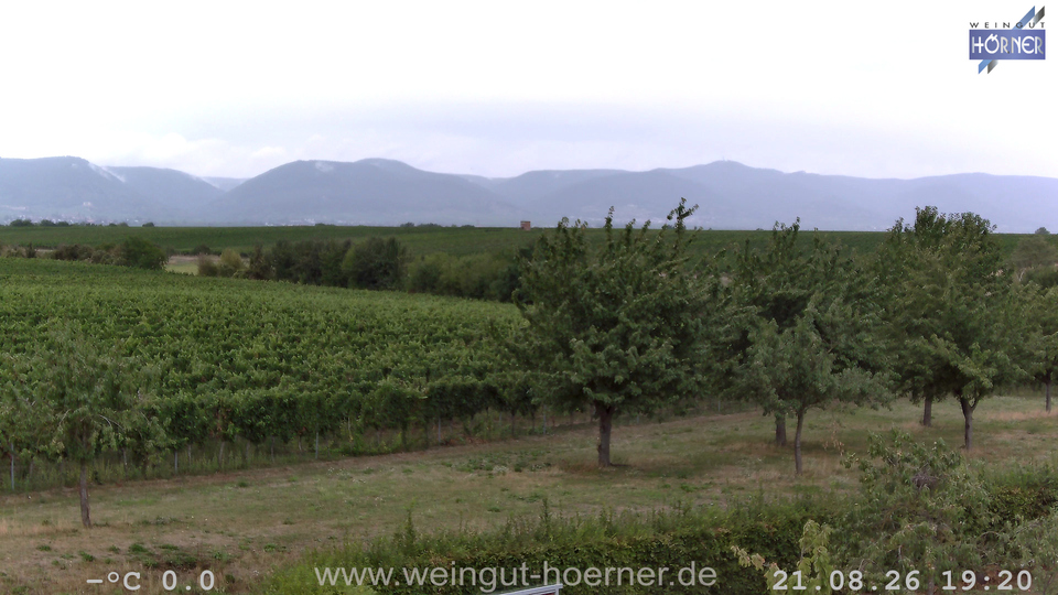 Webcam Weinberge Hochstadt