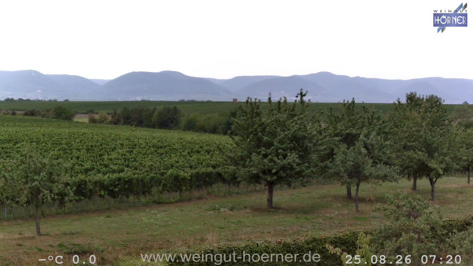 Webcam Weinberge Hochstadt