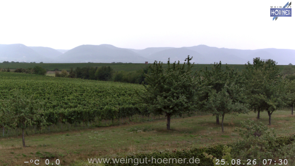Webcam Weinberge Hochstadt