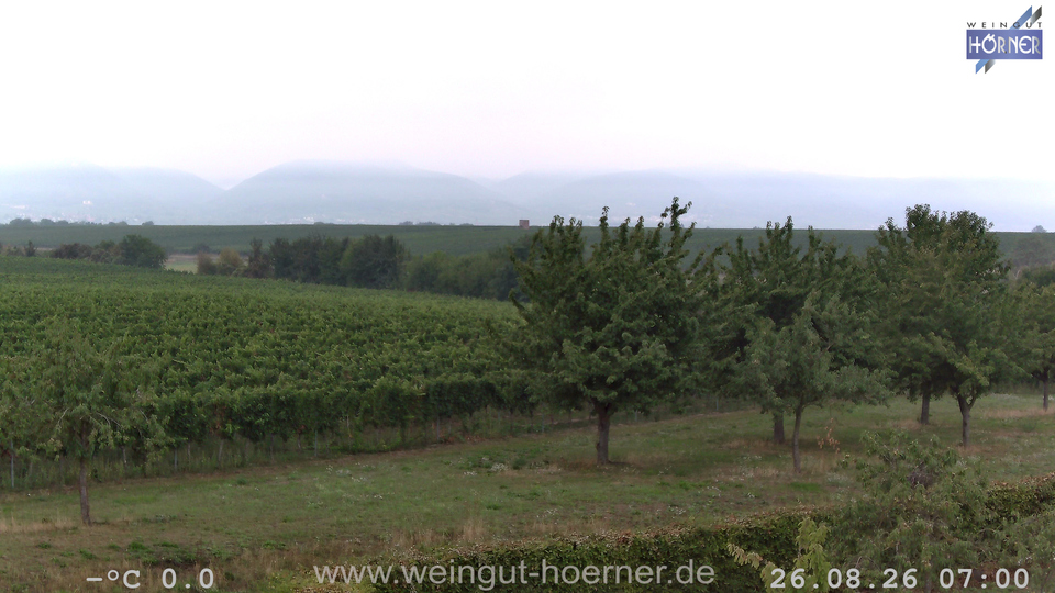 Webcam Weinberge Hochstadt