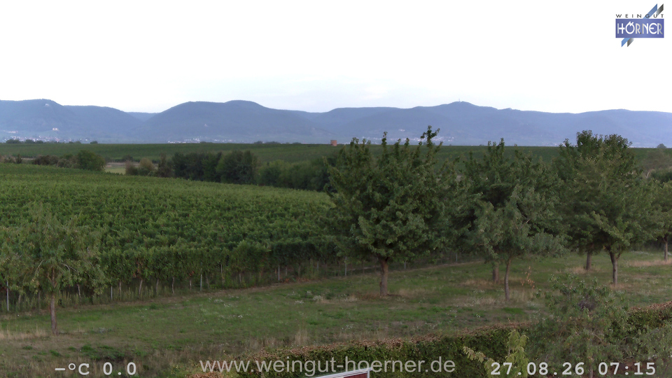 Webcam Weinberge Hochstadt