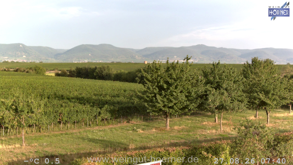 Webcam Weinberge Hochstadt