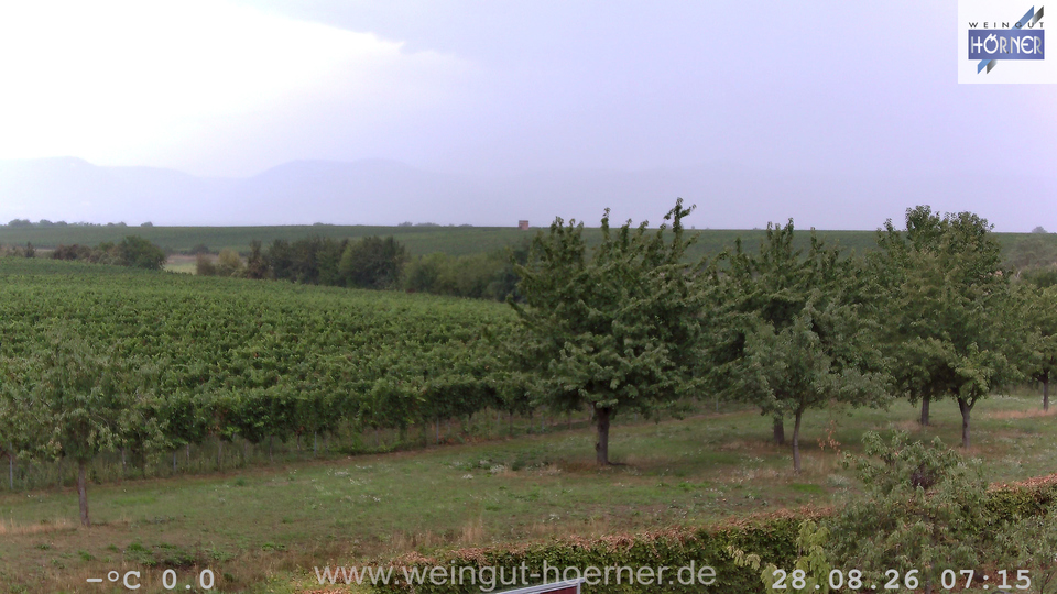 Webcam Weinberge Hochstadt