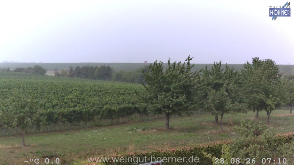 Webcam Weinberge Hochstadt