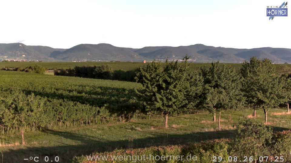Webcam Weinberge Hochstadt