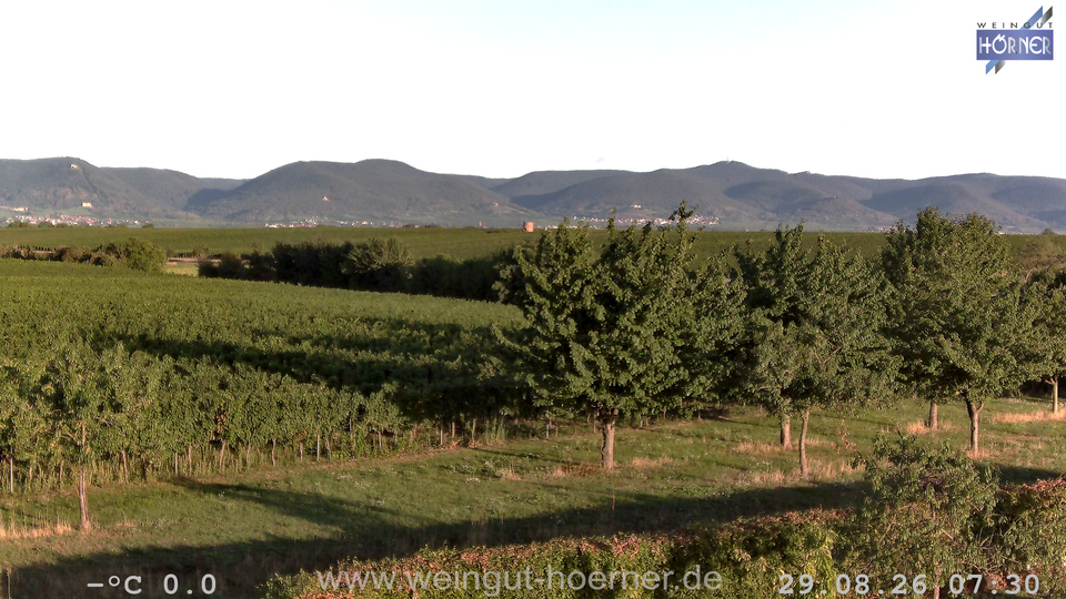 Webcam Weinberge Hochstadt