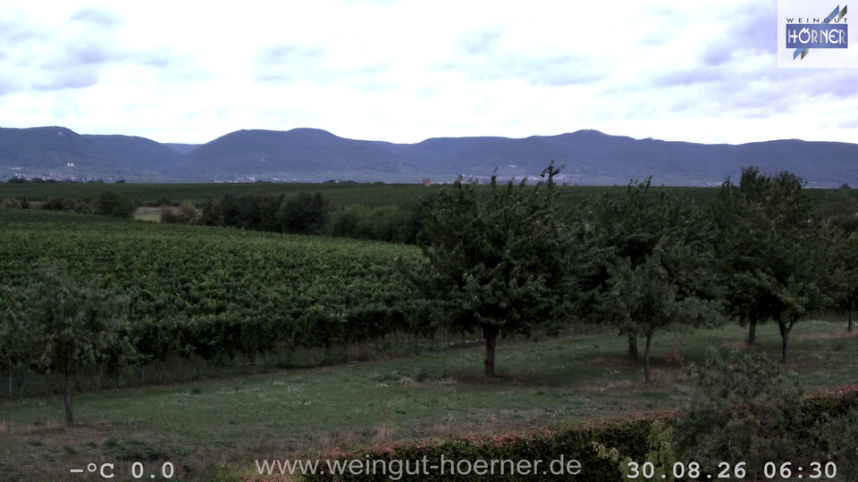 Webcam Weinberge Hochstadt