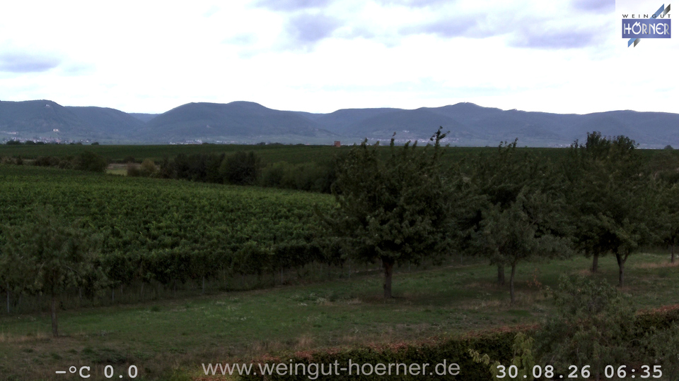 Webcam Weinberge Hochstadt