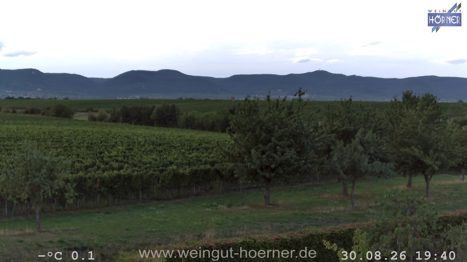 Webcam Weinberge Hochstadt