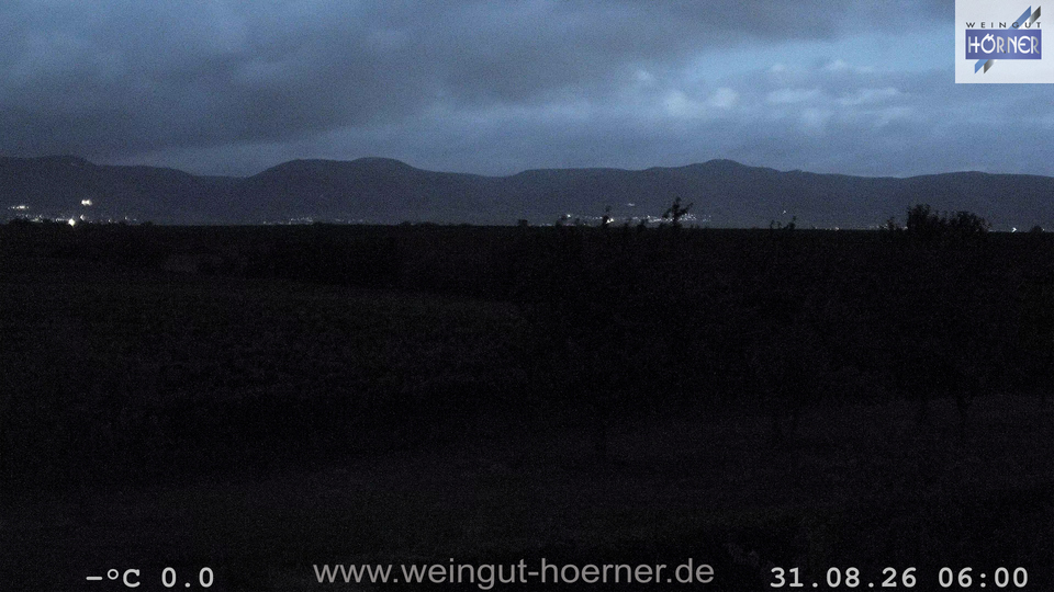 Webcam Weinberge Hochstadt