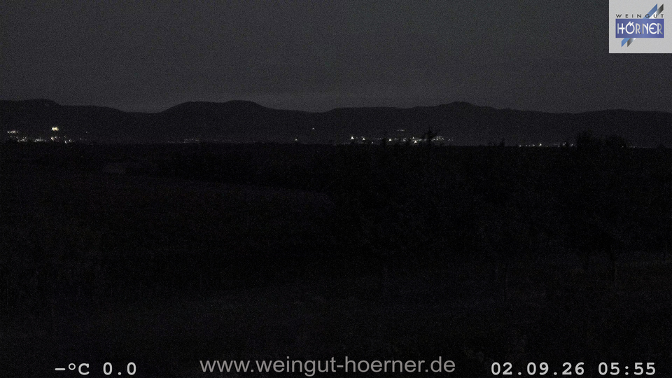 Webcam Weinberge Hochstadt