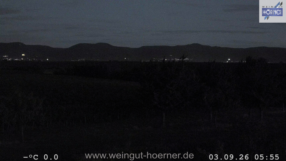 Webcam Weinberge Hochstadt
