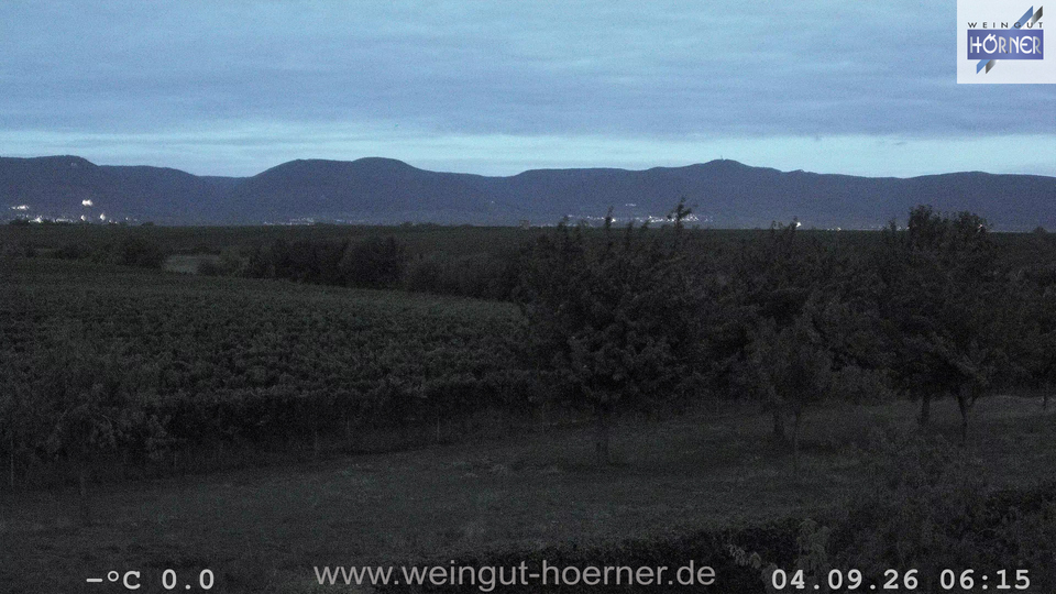 Webcam Weinberge Hochstadt