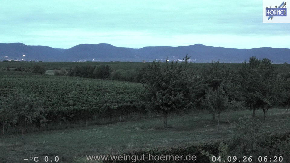 Webcam Weinberge Hochstadt