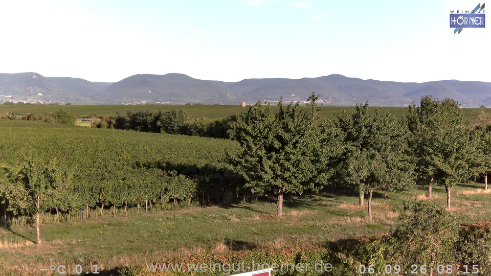 Webcam Weinberge Hochstadt