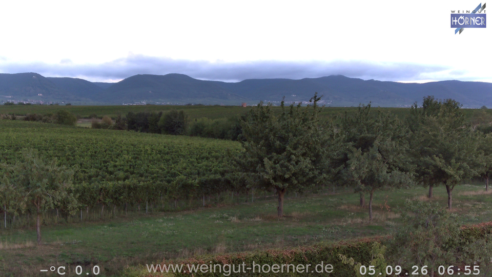 Webcam Weinberge Hochstadt