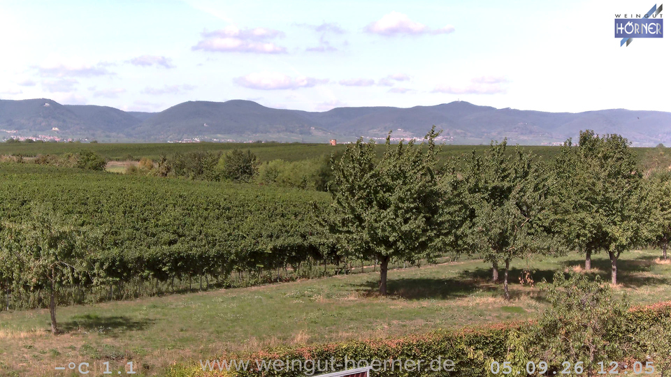 Webcam Weinberge Hochstadt