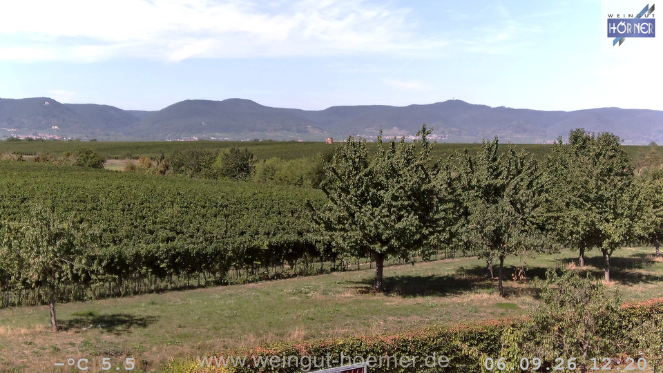 Webcam Weinberge Hochstadt