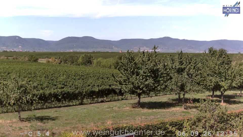 Webcam Weinberge Hochstadt