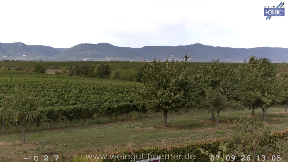 Webcam Weinberge Hochstadt