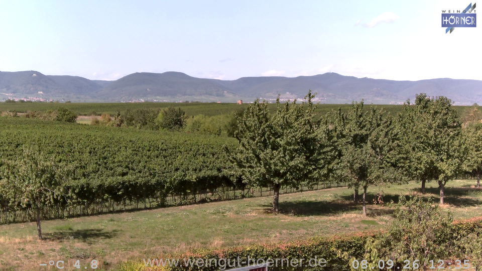 Webcam Weinberge Hochstadt