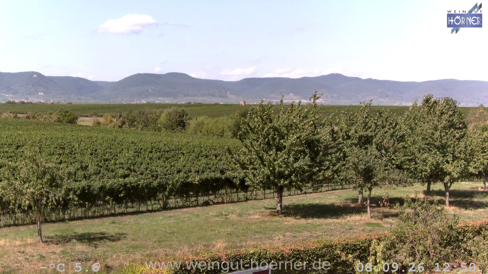 Webcam Weinberge Hochstadt