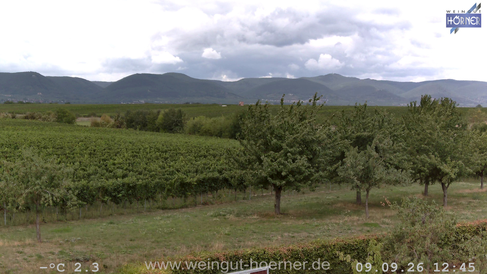 Webcam Weinberge Hochstadt