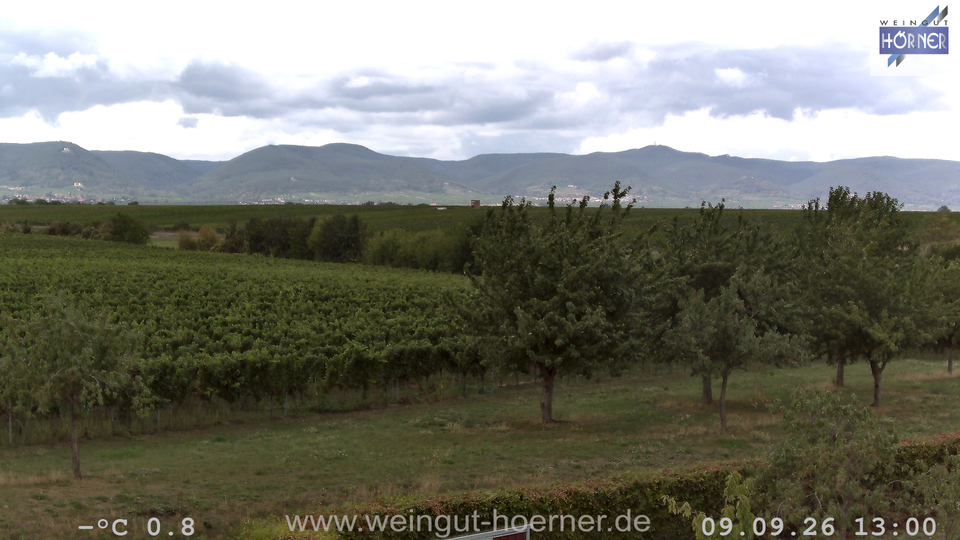 Webcam Weinberge Hochstadt