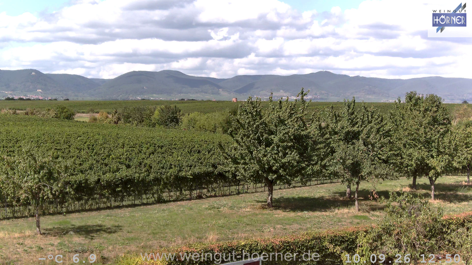 Webcam Weinberge Hochstadt