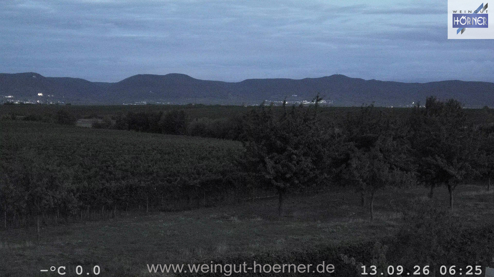 Webcam Weinberge Hochstadt