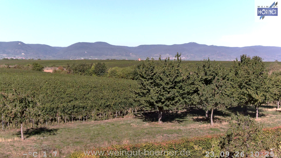 Webcam Weinberge Hochstadt