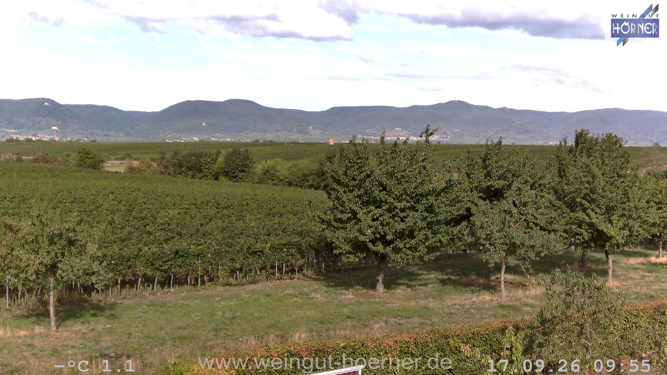 Webcam Weinberge Hochstadt