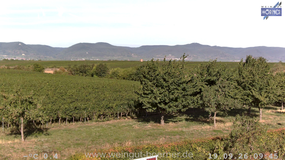 Webcam Weinberge Hochstadt