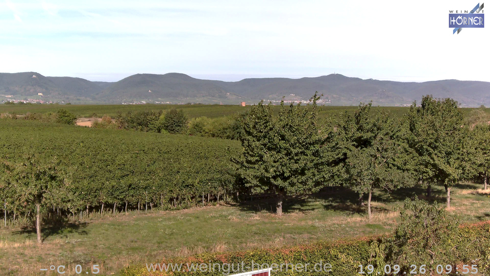 Webcam Weinberge Hochstadt