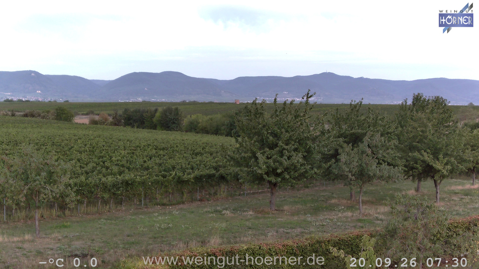 Webcam Weinberge Hochstadt