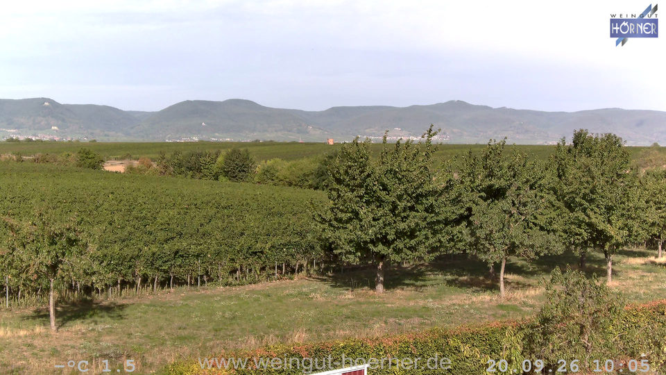 Webcam Weinberge Hochstadt