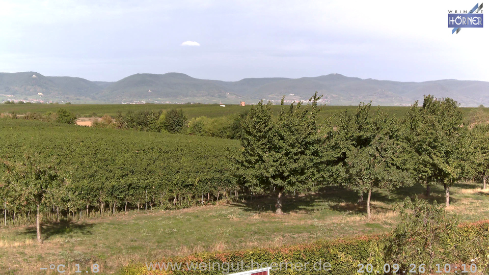 Webcam Weinberge Hochstadt