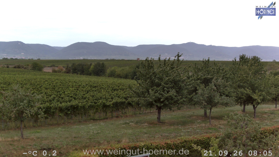 Webcam Weinberge Hochstadt