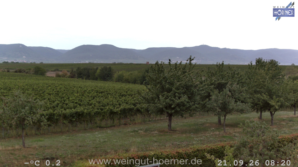 Webcam Weinberge Hochstadt
