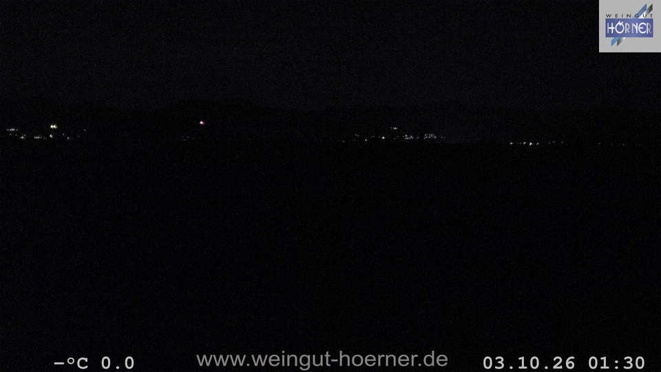 Webcam Weinberge Hochstadt