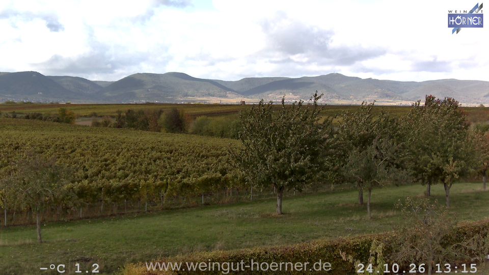 Webcam Weinberge Hochstadt